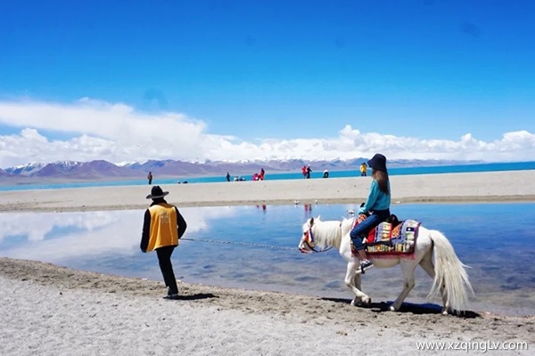 和父母一起去西藏旅游費用怎么算