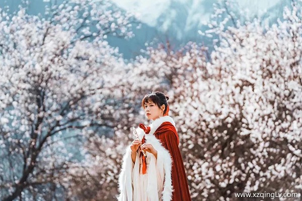 兩個人去拉薩玩一個星期大概花多少錢