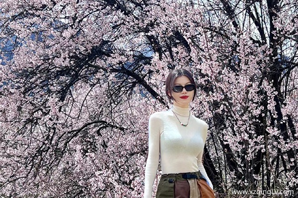 三月去西藏看桃花需要多少錢