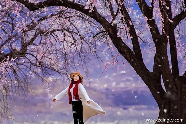 50歲的人能去西藏旅游嗎