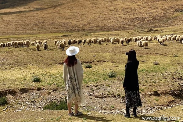 2個人去西藏多少錢