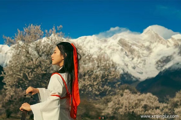 林芝桃花值得去嗎