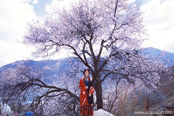 一家人在3月去西藏玩幾天合適