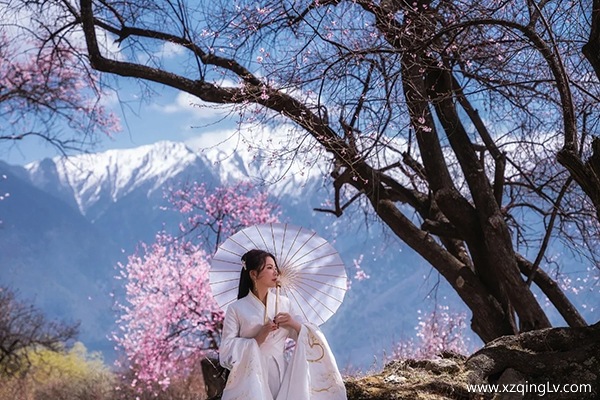 一家人在3月去西藏玩注意什么