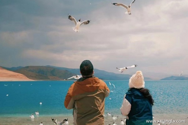 兩個人去西藏大概需要多少錢