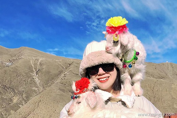 西藏7日游跟團多少錢