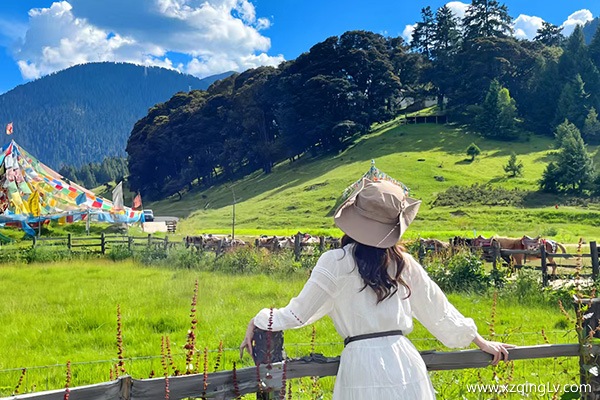 西藏旅游5天多少錢一天