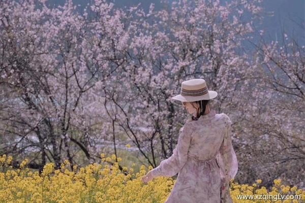 3月為什么有那么多人去西藏