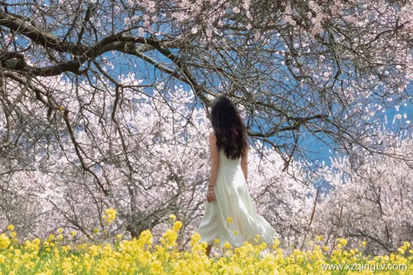 3月為什么有那么多人去西藏