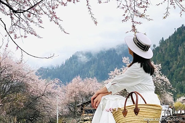 去西藏一次準備多少預算旅游才夠玩呢