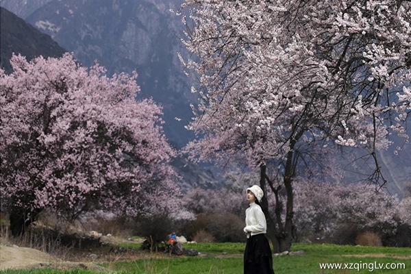 4月去西藏旅游合不合適