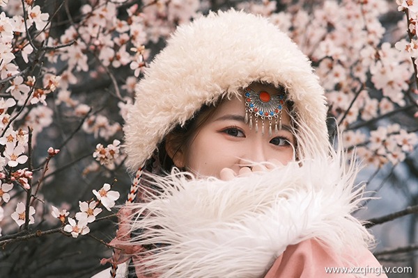 三月份去西藏跟團要花多少錢