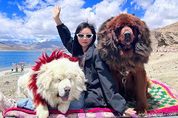 三月份去西藏報團的旅行社要怎么選