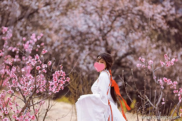 三月去林芝看桃花最新穿衣攻略