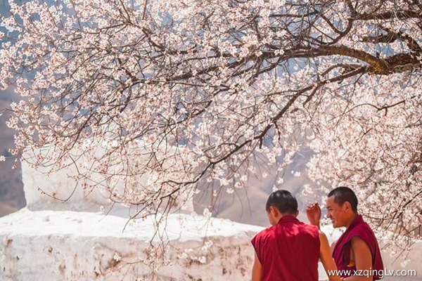 3月去西藏旅游一千多適合嗎