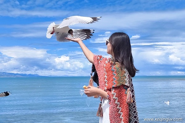 去西藏旅游一次要多久