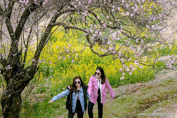 4月去西藏跟團玩一趟多少錢