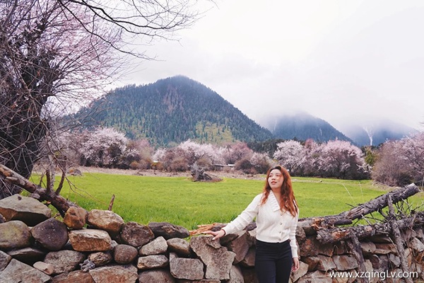 3月下旬濟寧報團去西藏多少錢