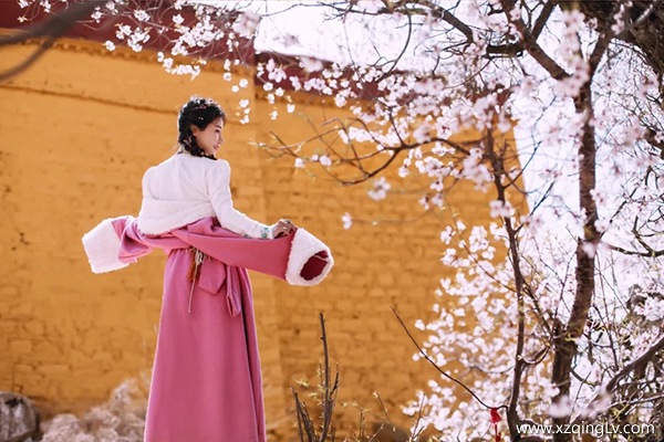 去林芝看桃花穿什么衣服好看