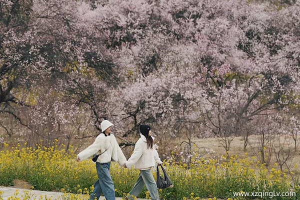 4月從上海出發西藏需要花費多少錢