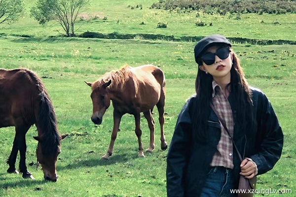鄭州到西藏雙飛五日游多少錢