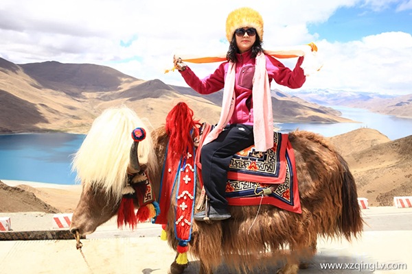 今年五月能不能帶爸媽去西藏旅游