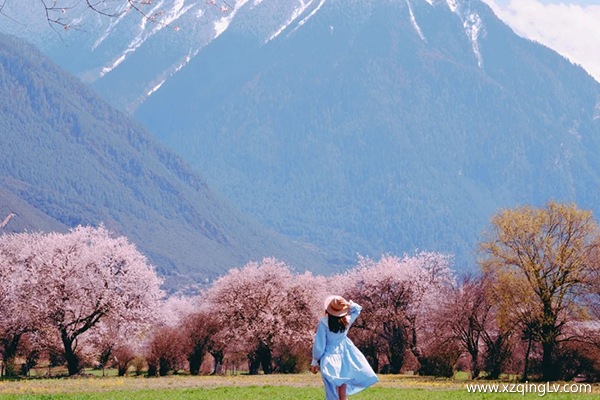 去西藏旅游最佳時間 