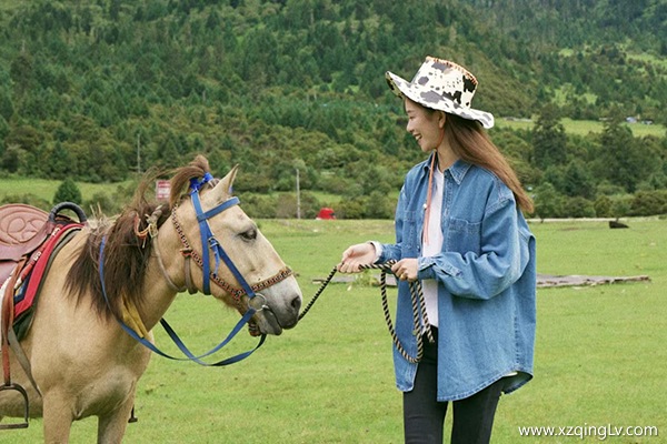 四月從福州去西藏旅游得花多少錢