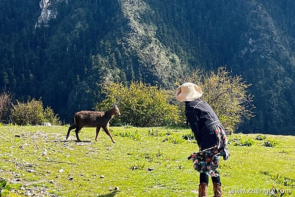 西藏7天的行程怎么安排