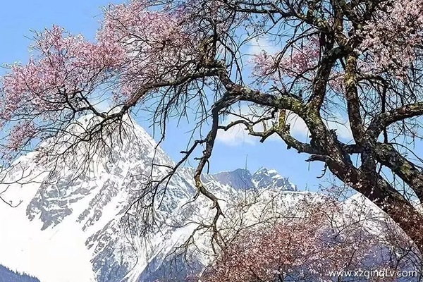 去西藏玩一趟要多少錢