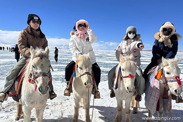 拉薩林芝7日游要多少錢